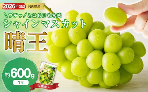 【2026年発送分 先行受付スタート！】岡山県産シャインマスカット「晴王」秀品 1房（約600g）（令和8年8月中旬～11月中旬頃発送）【 シャインマスカット 晴王 フルーツ 果物 くだもの 葡萄 ぶどう 岡山県産 秀品 種無し 高糖度 】hz-s