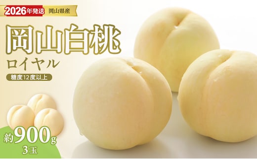 【2026年発送分 先行受付スタート！】岡山県産 白桃 「ロイヤル」 特秀 中玉 約900g（3玉）（令和8年7月～8月上旬頃発送）【 白桃ロイヤル フルーツ 果物 くだもの 御中元 御祝 ギフト プレゼント もも 桃 モモ 岡山県産 ロイヤル】hz-m