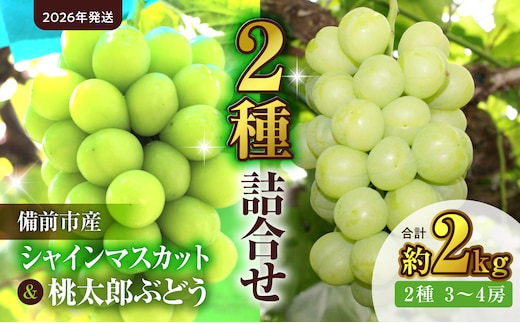 【2026年発送】備前市産シャインマスカットと桃太郎ぶどうの詰合せ 約2kg （2種 3～4房）（9月初旬～9月中旬頃発送）【 フルーツ 詰合わせ シャインマスカット 桃太郎ぶどう 備前市産 晴れの国おかやま 】