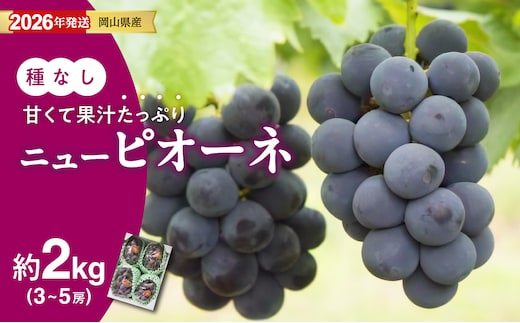 【2026年発送分 先行受付スタート！】岡山県産ニューピオーネ 秀品 約2kg（3～5房程度）（令和8年8月中旬以降発送）【 ニューピオーネ フルーツ 果物 くだもの 葡萄 ぶどう 岡山県産 秀品 】