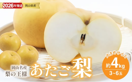 【2026年発送分 先行受付スタート！】岡山名産 あたご梨 秀品 約4kg（3〜6玉）（令和8年11月下旬以降発送）【 あたご梨 秀品 梨 フルーツ くだもの 果物 岡山県産 】