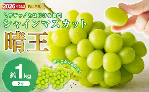 【2026年発送分 先行受付スタート！】岡山県産シャインマスカット「晴王」 秀品 約1㎏（2房）（令和8年8月中旬～10月頃発送）【 シャインマスカット 晴王 フルーツ 果物 くだもの 葡萄 ぶどう 御中元 ギフト プレゼント 御祝 岡山県産 秀品 種無し 高糖度 】hz-s