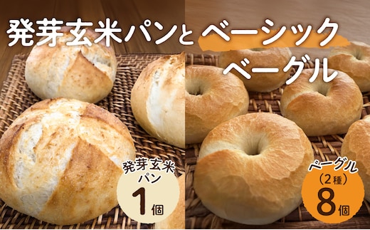 発芽玄米パンとベーシックベーグル【 ベーグル パン 酵母 発芽 玄米 もっちり】