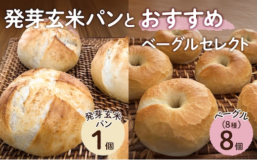 発芽玄米パンとおすすめベーグルセレクト【 ベーグル パン 自家製 酵母 発芽 玄米 もっちり オススメ 】