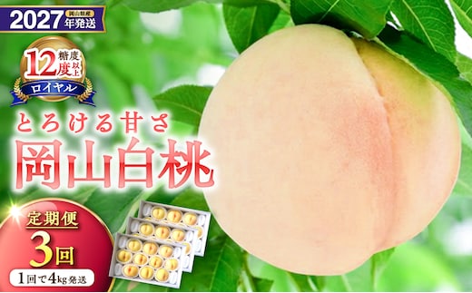 【2027年発送分・先行予約開始！】【定期便】岡山県産 白桃 最高ランク！「ロイヤル」約4kg×3回発送【先行受付 先行予約 白桃ロイヤル フルーツ 果物 もも 桃 モモ 岡山県産 ロイヤル】