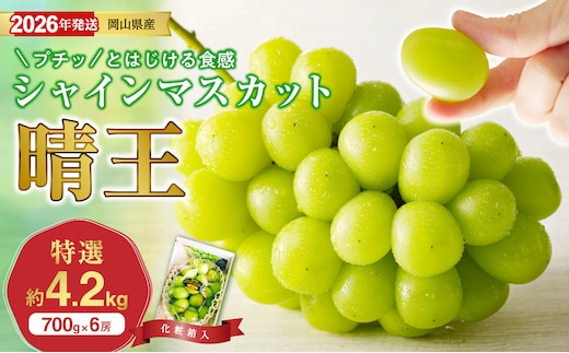 【2026年発送分 先行受付スタート！】岡山県産シャインマスカット「晴王」特選 大房 化粧箱入（約700g×6房）（令和8年8月中旬以降発送） 【 シャインマスカット 晴王 フルーツ 果物 くだもの 葡萄 ぶどう 岡山県産 特選 種無し 高糖度 】hz-s