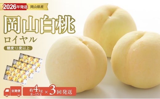 【2026年発送分 先行受付スタート！】【定期便】岡山県産 白桃 最高ランク！「ロイヤル」約4kg×3回発送【 白桃ロイヤル フルーツ 果物 くだもの もも 桃 モモ 岡山県産 】