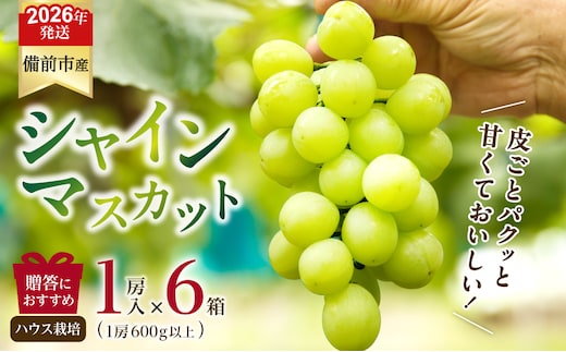 【2026年発送分 先行受付開始！】びぜん葡萄「シャインマスカット」（ハウス栽培）1房入×6箱セット（令和8年8月中旬～9月中旬頃発送）【 岡山県備前市産 シャインマスカット ハウス栽培 1房入×6箱セット 樹上完熟 】