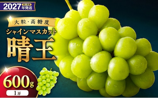 【2027年発送分・先行予約開始！】岡山県産シャインマスカット「晴王」 秀品 1房（約600g）（令和9年8月中旬以降発送）【先行受付 先行予約 シャインマスカット 晴王 フルーツ 果物 くだもの 葡萄 ぶどう 岡山県産 秀品 種無し 高糖度 】