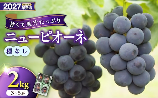 【2027年発送分・先行予約開始！】岡山県産ニューピオーネ 秀品 約2kg（3～5房程度）（令和9年8月中旬以降発送）【先行受付 先行予約 ニューピオーネ フルーツ 果物 くだもの 葡萄 ぶどう 岡山県産 秀品 】