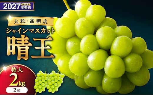 【2027年発送分・先行予約開始！】岡山県産シャインマスカット 「晴王」 秀品 （特大サイズ2房・約2kg）（令和9年8月中旬以降発送）【 シャインマスカット 晴王 フルーツ 果物 くだもの 葡萄 ぶどう 岡山県産 秀品 種無し 高糖度 】