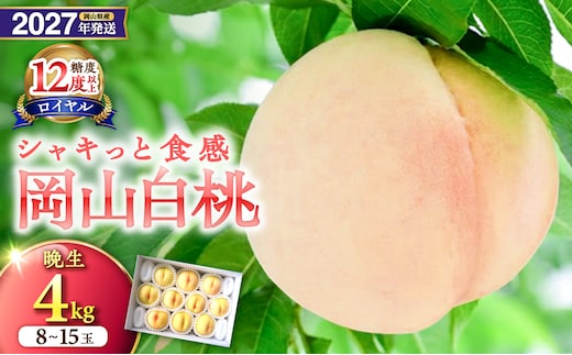 【2027年発送分・先行予約開始！】岡山県産 白桃（晩生種） 最高ランク！「ロイヤル」約4kg 8～15玉（令和9年8月中旬以降発送）【先行受付 先行予約 白桃ロイヤル 晩生 フルーツ 果物 くだもの もも 桃 モモ 岡山県産 】