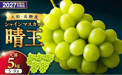 【2027年発送分・先行予約開始！】岡山県産シャインマスカット「晴王」 秀品 大房 （約5kg・5～9房程度）（令和9年8月中旬以降発送）【先行受付 先行予約 シャインマスカット 晴王 フルーツ 果物 くだもの 葡萄 ぶどう 岡山県産 秀品 大房 種無し 高糖度 】