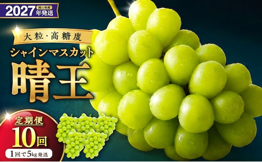 【2027年発送分・先行予約開始！】【定期便】岡山県産シャインマスカット「晴王」 秀品 大房（約5kg・5～9房目安）×10回発送（令和9年7月以降発送）【先行受付 先行予約 シャインマスカット 晴王 フルーツ 果物 葡萄 ぶどう 定期 岡山県産 種無し 高糖度】
