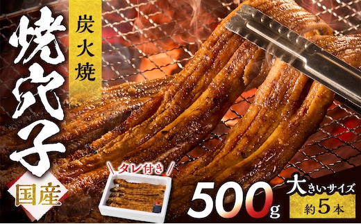 焼穴子 約500g（国産・大きいサイズ約5本）