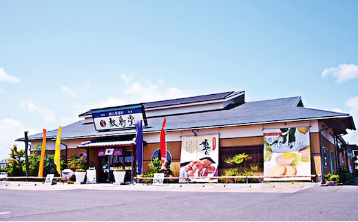 敷島堂 お菓子券 6，000円相当分（500円券×12枚） 地域のお買い物券 チケット 