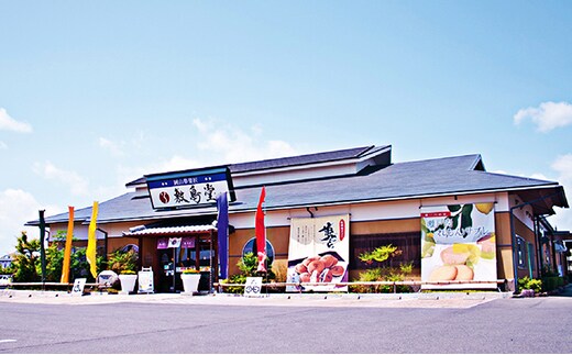 敷島堂 お菓子券 9，000円相当分（500円券×18枚） 地域のお買い物券 チケット 