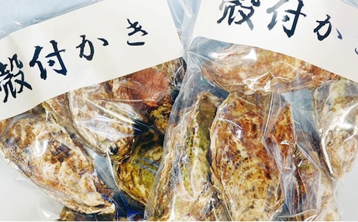 牡蠣 2026年 先行予約 殻付き牡蠣 レンジでチン セット 5個入×2袋 山銀商店 瀬戸内海虫明湾産 魚介類 カキ かき シーフード 