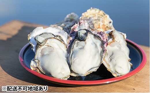 牡蠣 2026年先行予約 モリ旬 牡蠣 半斗缶 殻付き 約5～6kg（約45～60個） 岡山県 瀬戸内市 虫明産 魚介類 カキ かき