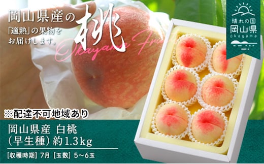 桃 2026年 先行予約 白桃 早生種 約1.3kg 5～6玉 もも モモ 岡山県産 国産 フルーツ 果物 ギフト