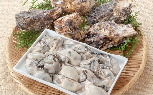 牡蠣 2026年 先行予約 殻付き 大粒牡蠣 半斗缶 (約35個)約5kg～6kg 山銀商店 瀬戸内海虫明湾産 約6kg前後 魚介類 カキ シーフード かき 