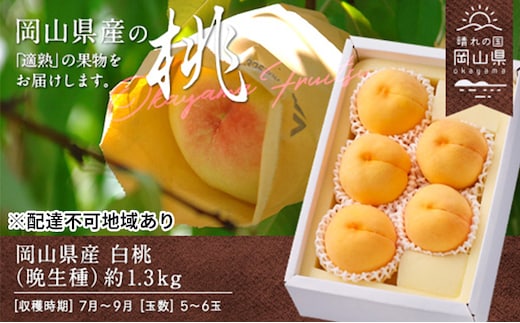 桃 2026年 先行予約 白桃 晩生種 約1.3kg 5～6玉 もも モモ 岡山県産 国産 フルーツ 果物 ギフト 