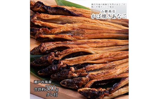 あなご 先行予約 山銀商店 かば焼き あなご (合計約300g) 産地直送 穴子 魚介類 アナゴ 