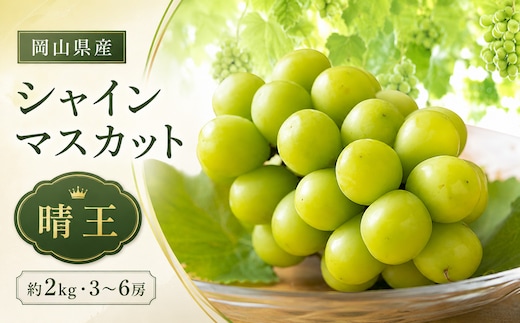 ぶどう 2026年 先行予約 シャイン マスカット 晴王 約2kg 3～6房 種無し ブドウ 葡萄 岡山県産 国産 フルーツ 果物 ギフト デザート 果実 美しい 大粒 高糖度 皮ごと パリッ 弾力 食感