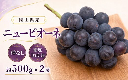 ぶどう 2026年 先行予約 ニュー ピオーネ 約500g×2房 種無し ブドウ 葡萄 岡山県産 国産 フルーツ 果物 ギフト デザート 果実 美しい 大粒 高糖度 皮ごと 食べ応え 芳醇 甘い 果汁 食べやすい 大人気