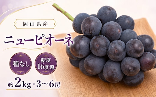 ぶどう 2026年 先行予約 ニュー ピオーネ 約2kg 3～6房 種無し ブドウ 葡萄 岡山県産 国産 フルーツ 果物 ギフト デザート 果実 美しい 大粒 高糖度 皮ごと 食べ応え 芳醇 甘い 果汁 食べやすい 大人気