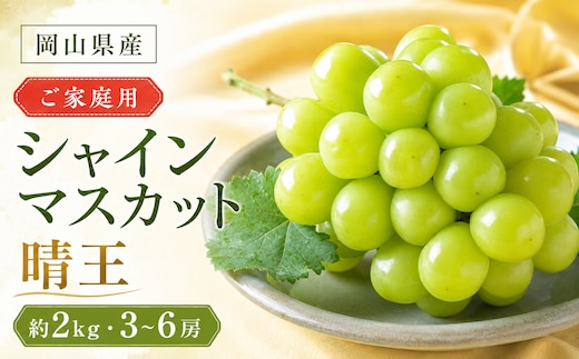 ぶどう 2026年 先行予約 ご家庭用 シャイン マスカット 晴王 3～6房 約2kg ブドウ 葡萄 岡山県産 国産 フルーツ 果物