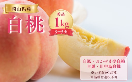 【先行受付】岡山県産白桃1kg ＜品種おまかせ＞| 岡山県産 桃 白鳳 おかやま夢 白麗川中島白桃 白桃フルーツ 果物 高級フルーツ 岡山 桃 お取り寄せ 産地直送 国産フルーツ 人気 数量限定 旬の果物 甘い ジューシー 芳醇 みずみずしい もも 先行予約