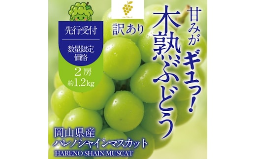 【先行予約】【訳あり】木熟ぶどう ハレノシャイン シャインマスカット 2房 約1.2㎏ 10月～11月発送 | 岡山県産 皮ごと食べる みずみずしい 甘い フレッシュ 晴れの国 おかやま 家庭用 訳あり 訳アリ ハレノフルーツ