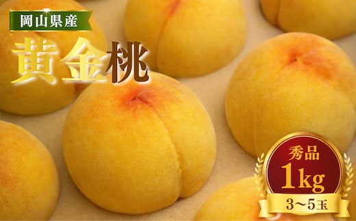 【先行受付】黄桃1kg | 岡山県産 黄金桃 桃 フルーツ 果物 高級フルーツ 岡山 桃 お取り寄せ 産地直送 希少品種 国産フルーツ 黄金桃 人気 数量限定 旬の果物 甘い ジューシー 芳醇 みずみずしい 夏の味覚 先行予約