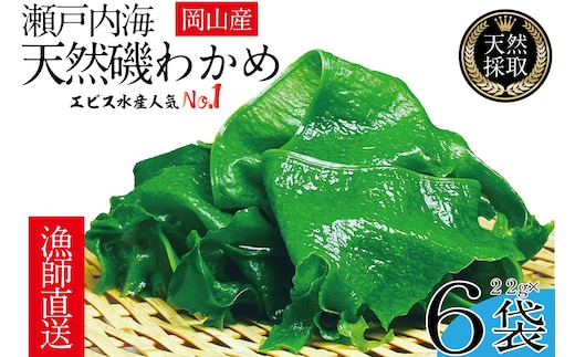 風味豊かな 瀬戸内 わかめ 22g×6袋 エビス水産【岡山 瀬戸内海 天然 カットわかめ】