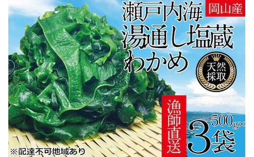 湯通し塩蔵 瀬戸内 わかめ 500g×3袋【岡山 瀬戸内海 天然 塩蔵】