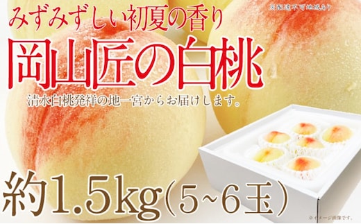 もも 2026年 先行予約 岡山匠の白桃 約1.5kg 5～6玉 犬塚農園 岡山県産 桃 モモ ギフト 初夏 みずみずしい