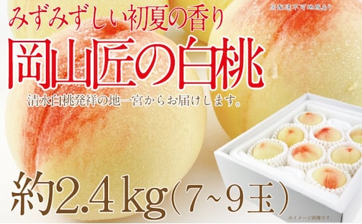 もも 2026年 先行予約 岡山匠の白桃 約2.4kg 7～9玉 犬塚農園 岡山県産 桃 モモ ギフト 初夏 みずみずしい