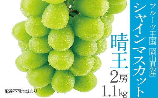 ぶどう2026年 先行予約 シャイン マスカット 晴王 2房（合計約1.1kg） 晴れの国 おかやま 岡山県産 フルーツ王国 果物王国 産地直送