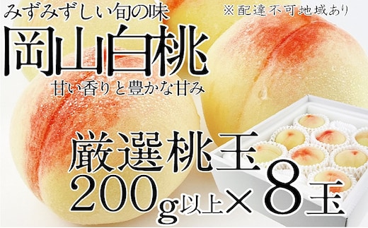 桃 2026年 先行予約 岡山の白桃 200g以上×8玉 白桃 旬 みずみずしい 晴れの国 おかやま 岡山県産 フルーツ王国 果物王国 デザート 岡山の桃 旬の桃