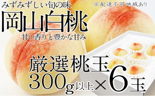 桃 2026年 先行予約 岡山の白桃 300g以上×6玉 白桃 旬 みずみずしい 晴れの国 おかやま 岡山県産 フルーツ王国 果物王国 デザート 岡山の桃 旬の桃