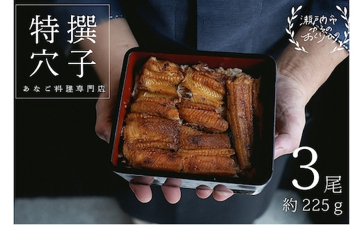 穴子 焼き穴子 3尾入 225g 蒲焼き 小分け 真空パック 厳選 特選 不揃い 小ぶり 魚貝類 魚介類 おかず 和食 魚料理 青島 冷蔵 冷蔵配送 岡山 岡山県 瀬戸内市