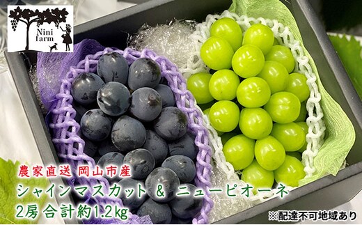 ぶどう 2026年 先行予約 農家こだわりの シャイン マスカット ＆ ニュー ピオーネ 2房 合計約1.2kg 贈答クラス 葡萄 岡山県産 国産 フルーツ 果物 ギフト 【 Nini farm 農家 直送 】
