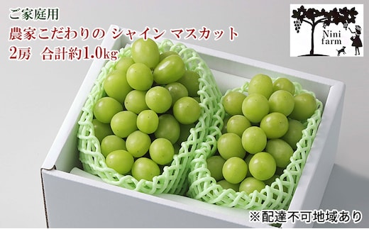 ぶどう 2026年 先行予約 【平均糖度20度】 ご家庭用 農家こだわりの シャイン マスカット 2房 合計約1.0kg ブドウ 葡萄 岡山県産 国産 フルーツ 果物 【 Nini farm 農家 直送 】