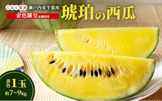 こはく農園 瀬戸内市牛窓産 琥珀の西瓜【金色羅皇品種使用】黄色 1玉(約7～9kg) スイカ 西瓜 フルーツ 国産 岡山 瀬戸内市