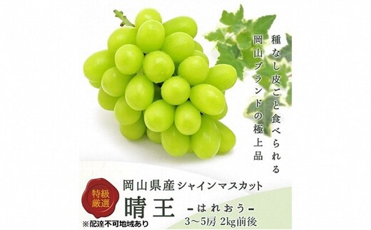 ぶどう 2026年 先行予約 シャイン マスカット 晴王 3～5房 2kg前後 （8月上旬～9月下旬発送分） ブドウ 葡萄 岡山県産 国産 フルーツ 果物 ギフト 果物類