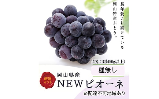 ぶどう 2026年 先行予約 ニューピオーネ 2房(1房480g以上) 化粧箱入り ブドウ 葡萄 岡山県産 国産 フルーツ 果物 ギフト