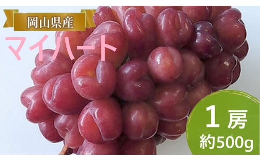 ぶどう 【2026年 早期受付】 マイハート 1房 約500g ブドウ 葡萄 岡山県産 国産 フルーツ 果物 ギフト