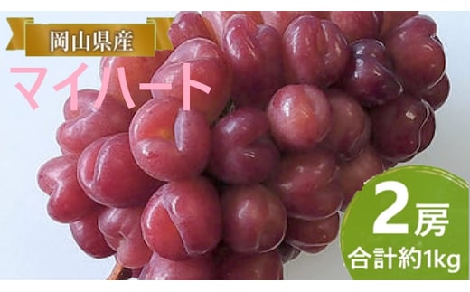 ぶどう 【2026年 早期受付】 マイハート 2房 合計約1kg ブドウ 葡萄 岡山県産 国産 フルーツ 果物 ギフト