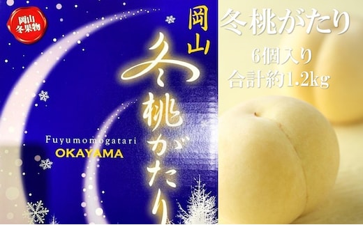 桃 【2026年 早期受付】 冬桃がたり 6個入り 合計約1.2kg もも 岡山県産 国産 フルーツ 果物 ギフト